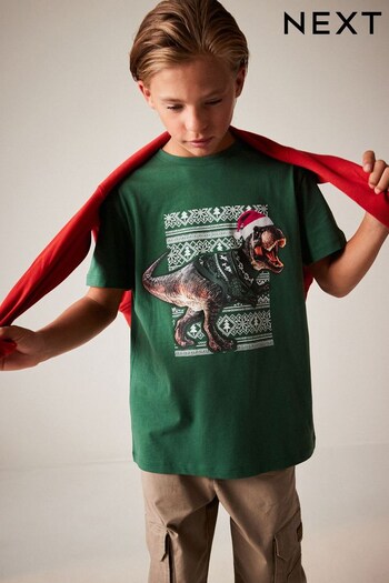 Green Dino Short Sleeve Christmas T-Shirt (3-16yrs) (186004) | £7 - £12