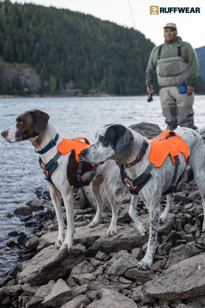 Ruffwear orange vest deals
