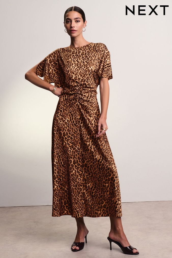 Women s Animal Print Midi Dresses Curve Tall Midi Dresses Next