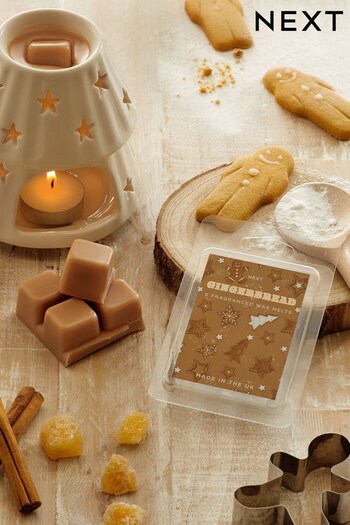 Set of 6 Brown Gingerbread Fragranced Wax Melts (190383) | £6
