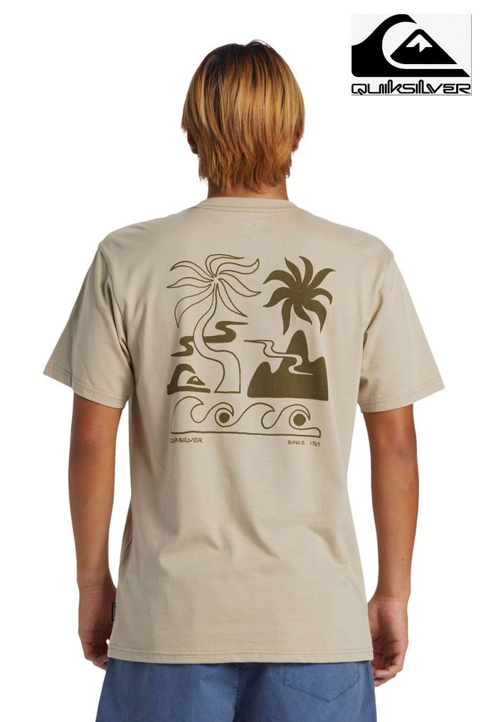 Buy Men s Quiksilver T Shirts Tops Online Next UK