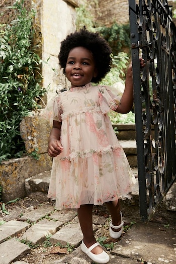 Pack Floral Tiered Mesh Dress (3mths-7yrs) (197914) | £20 - £24