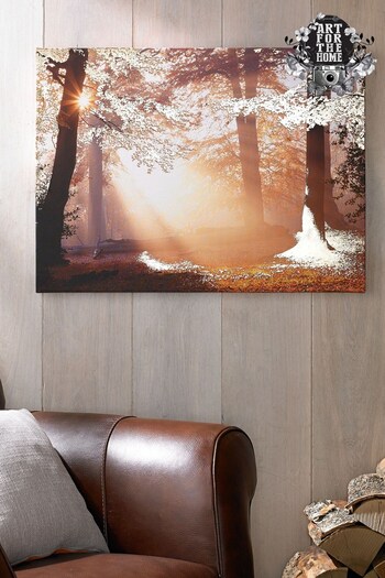 Art For The Home Orange Metallic Forest Wall Art (200751) | £50