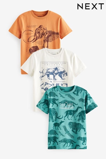 Orange/Teal Blue The Ice age Graphic T-Shirts Verde 3 Pack (3-16yrs) (202954) | £19 - £25