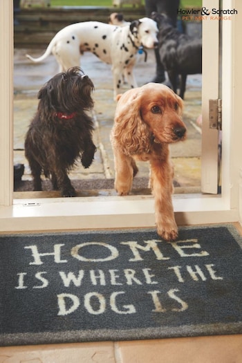 Howler & Scratch Multi Home Slogan Washable And Recycled Non Slip Doormat (204044) | £19