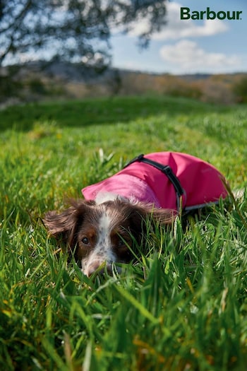 Barbour® Pink Waterproof Dog Coat (210461) | £48