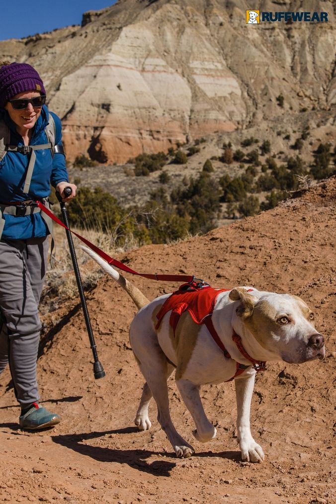 Ruffwear store hiking harness