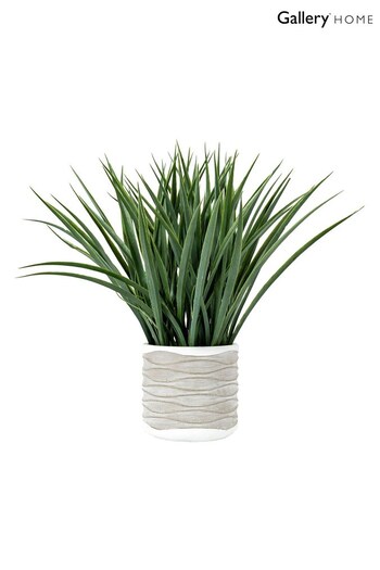 Gallery Home Green Grass in Wavy Pot Large (231350) | £28