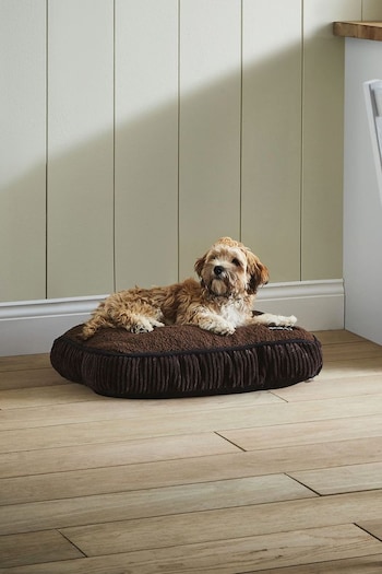 Bunty Brown Snooze Dog Mattress (243613) | £25 - £40
