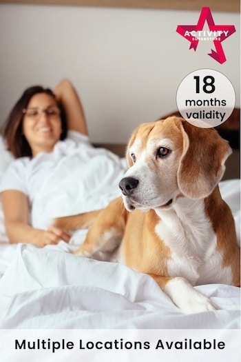 AS Dog Friendly Hotel Stays Gift Experience (244429) | £99