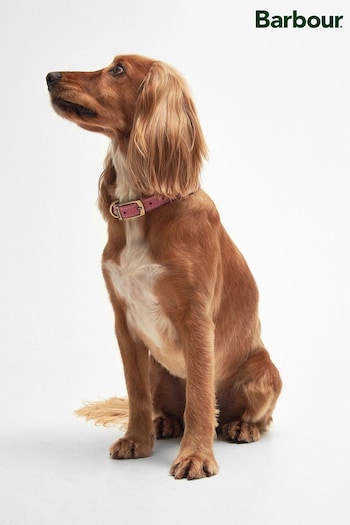 Barbour® International Pink Leather Dog Belt (252773) | £23