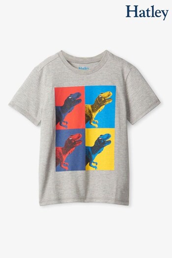 Hatley Grey Dino Block Graphic T-Shirt (253184) | £22