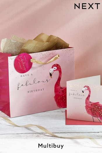 Pink Flamingo Gift Bag and Card Set (259275) | £4.25