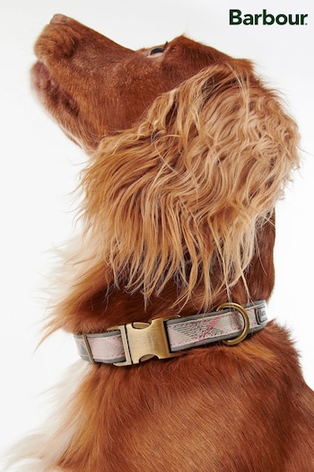 Barbour® Pink Reflective Tartan Dog Collar (263433) | £28