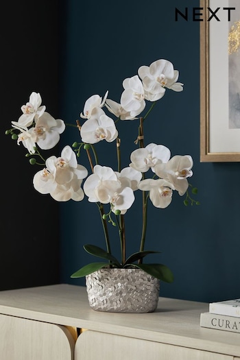 White Artificial Real Touch Orchid In Hex Embossed Pot (266756) | £32