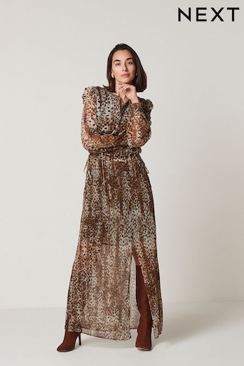 Animal Print Long Sleeve Chiffon Maxi Dress (271637) | £42