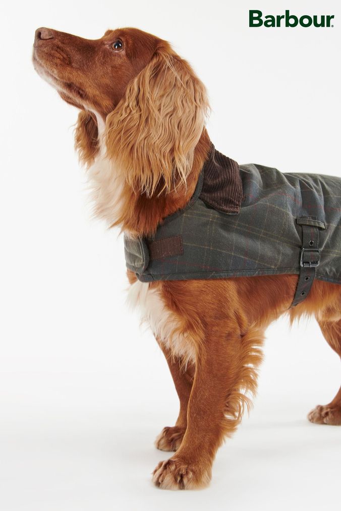 Barbour olive top wax dog coat