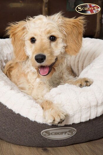 Scruffs® Grey Medium Breed Dog Ellen Bed (294313) | £45