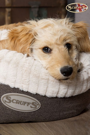 Scruffs® Grey Extra Large Breed Dog Ellen Bed (296791) | £75