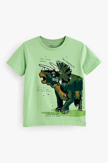 Green Dino Short Sleeve Flippy Sequin T-Shirt (3-16yrs) (299355) | £9 - £12