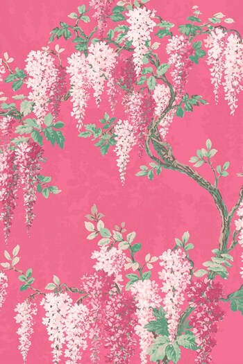 Woodchip & Magnolia Pink Wisteria Sample Wallpaper (29T616) | £2