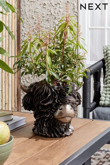 Bronze Outdoor Hamish The Highland Cow Planter (2C8886) | £35
