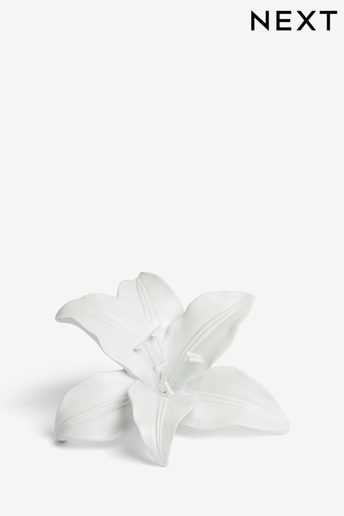Next vases and ornaments deals