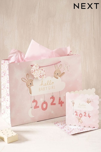 Pink Girl Born in 2024 Gift Bag and Card Set (303472) | £4