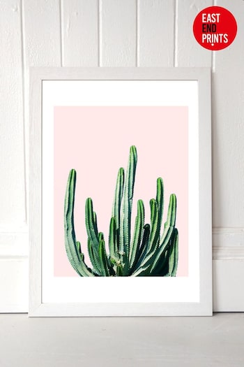 White Cactus Main by 83 Oranges Framed Print (307190) | £46 - £70