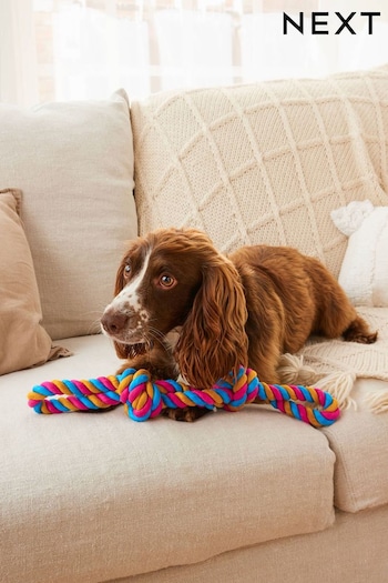 Multicoloured Rope Double Knot Pet Toy (309029) | £10