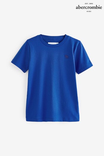 Abercrombie & Fitch Blue T-shirt (311146) | £15
