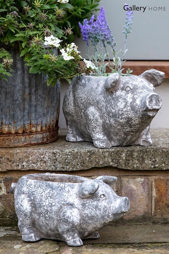 Gallery Home White Small Pig Planter (311819) | £24