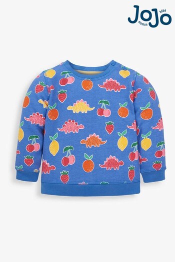 JoJo Maman Bébé Blue Girls Dinosaur & Fruit Print Sweatshirt (312231) | £20