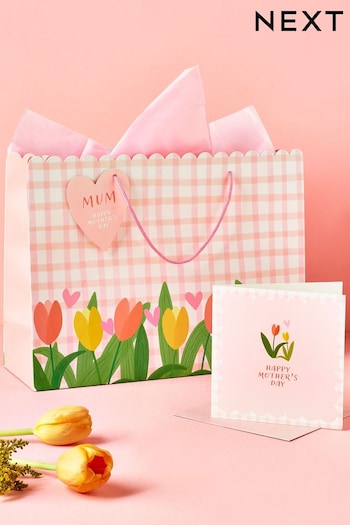 Pink Floral Gingham Mother's Day Gift Bag and Card Set (317524) | £4