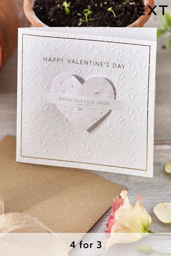 Natural Valentine's Seeded Heart Card (317944) | £3.50