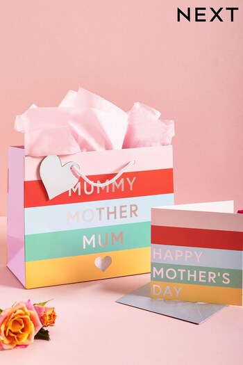 Pink Striped Mother's Day Small Gift Sculpted Bag and Card Set (322603) | £3.50