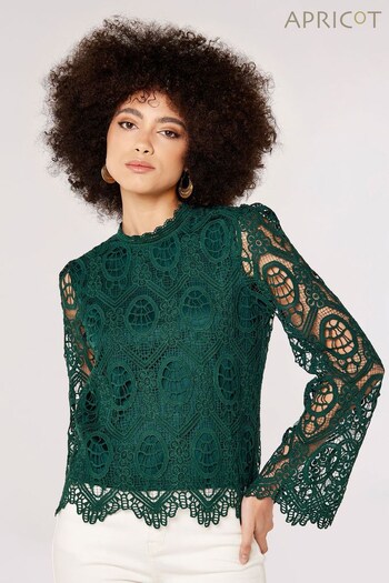 Apricot Forest Green Guipure Scallop Lace High Neck Top (349032) | £39
