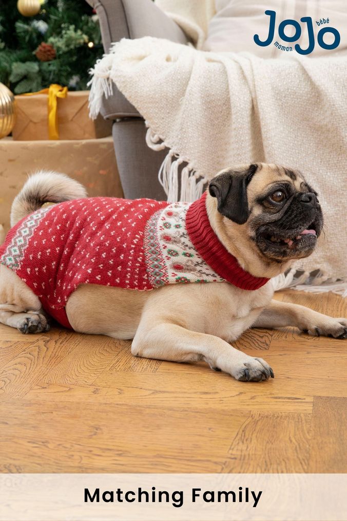 Buy Older Boys Unisex Younger Girls Red Pet Jumpers Gifts Online