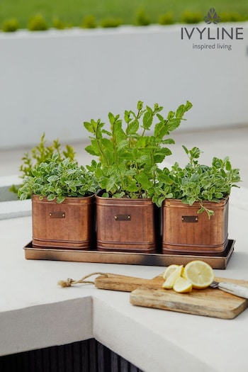 Ivyline Set of 3 Copper Garden Hampton Herb Planters With Tray (364597) | £50