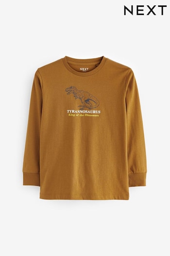 Tan Brown Dino Long Sleeve Graphic T-Shirt (3-16yrs) (367259) | £7 - £12