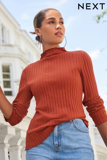 Rust Brown Long Sleeve High Neck Ribbed Top (368311) | £22
