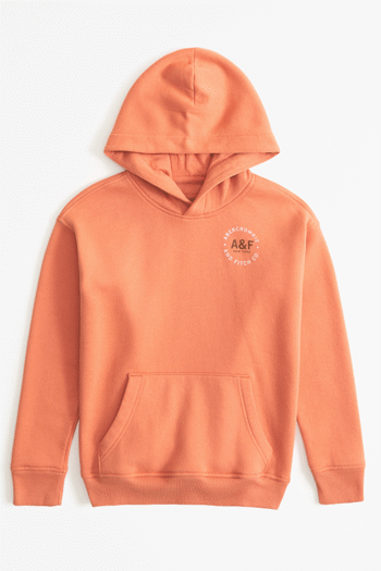 Abercrombie & Fitch Orange Logo Back Print Hoodie (369169) | £40