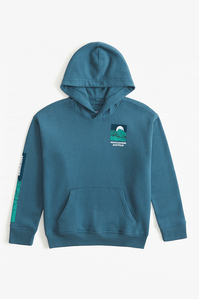 Hoodie abercrombie online