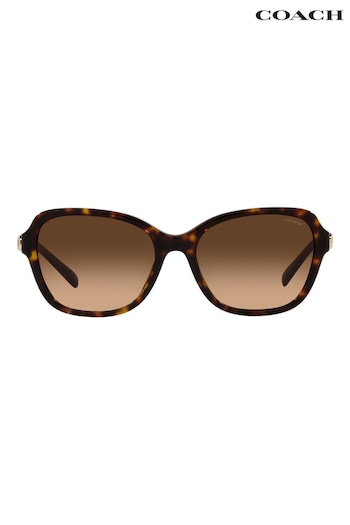 COACH Brown 0HC8349U Sunglasses (378822) | £132