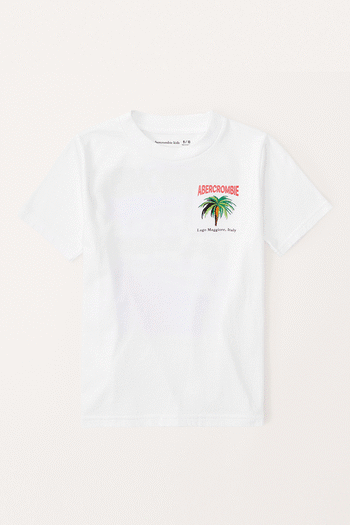 Abercrombie & Fitch Logo Back Print White T-Shirt (383657) | £19