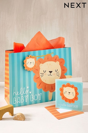 Blue Lions Gift Bag and Card Set (384488) | £4