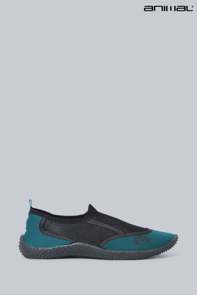 Buy Men s Newborn Boys Newborn Girls Older Boys Older Girls Blue Animal Label Footwear Online ParallaxShops