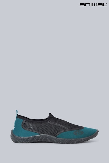 Animal Mens Blue Cove Aqua Shoes (390194) | £22