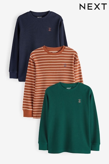 Brown/Black/Green Stripe Long Sleeve Colourblock T-Shirts logo 3 Pack (3-16yrs) (400353) | £27 - £37