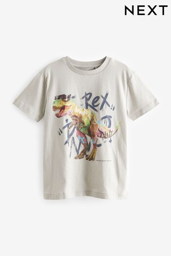 Grey Graffiti Dino Graphic Short Sleeve T-Shirt (3-16yrs) (407506) | £8 - £13